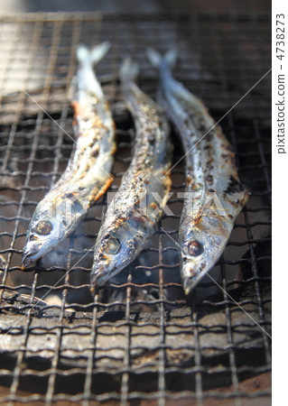 被烘烤的烤三文魚獐鹿用秋天香魚 4738273