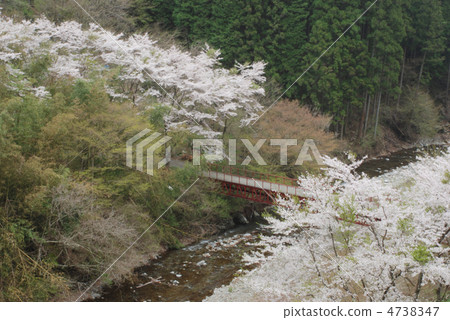 東京檜原村的春天 東京檜原村的春天 4738347