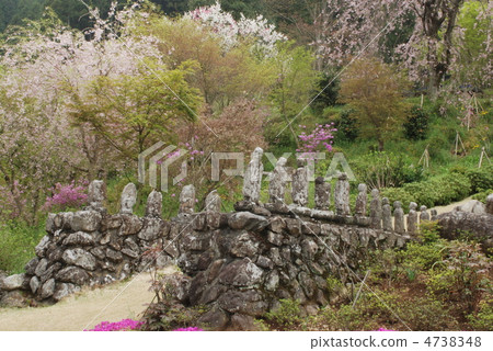 多摩寺 多摩寺 4738348
