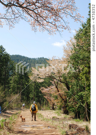 高雄山的春天 高雄山的春天 4738352
