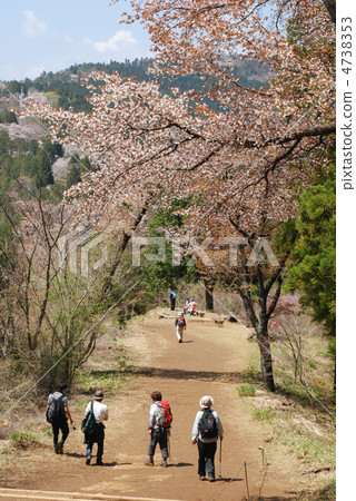 高雄山的春天 高雄山的春天 4738353