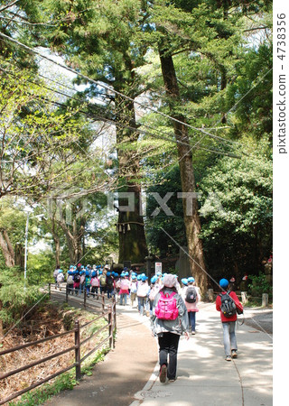 入口高雄山的春天 入口高雄山的春天 4738356