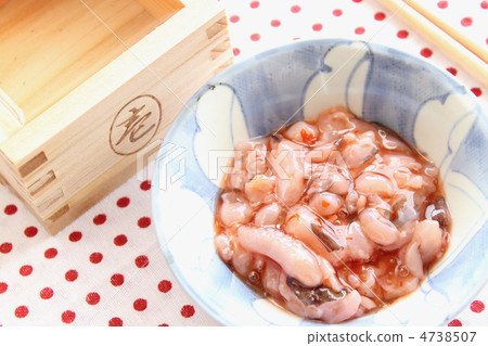 章魚章魚的鹽和鯖魚 4738507