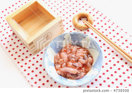 章魚章魚的鹽和鯖魚 4738508