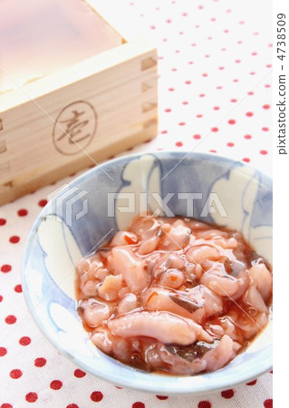 章魚章魚的鹽和鯖魚 4738509