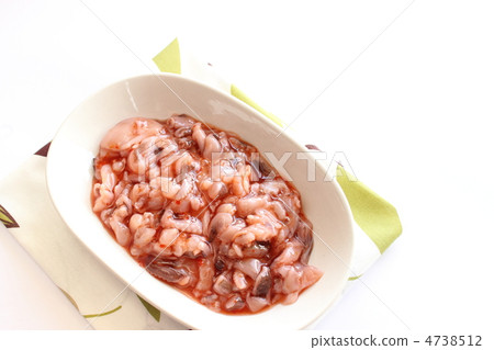 From the salt of octopus octopus 4738512