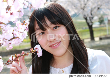 女性春天櫻花公園樹櫻花觀看櫻花室外場合微笑年輕學校人性感 女性春天櫻花公園樹櫻花觀看櫻花室外場合微笑年輕學校人性感 4739586