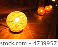 Flower lamp 4739957