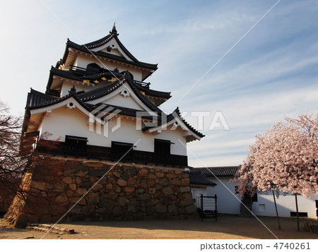 櫻花彥根城堡 櫻花彥根城堡 4740261