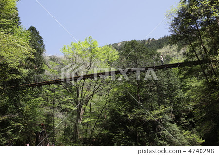 Suspension bridge Suspension bridge 4740298