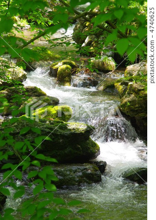Fresh green of Kamiwa Falls 4740625