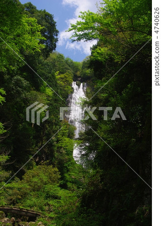 Fresh green of Kamiwa Falls 4740626