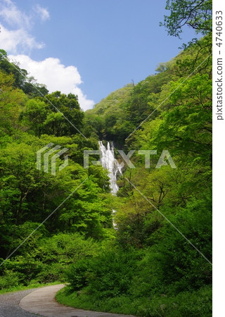 新鮮的綠色的神谷瀑布 4740633