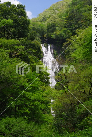 Fresh green of Kamiwa Falls 4740634