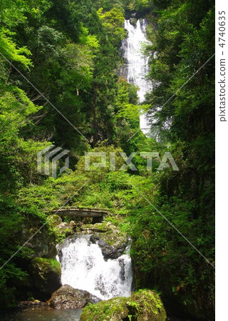 新鮮的綠色的神谷瀑布 4740635
