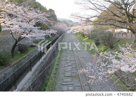 Spring of ink line 4740882