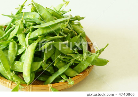 春季蔬菜Kinusaya 4740905