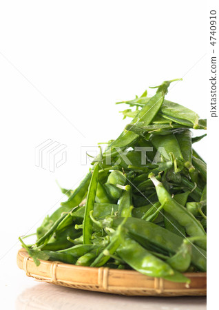 春季蔬菜Kinusaya 4740910