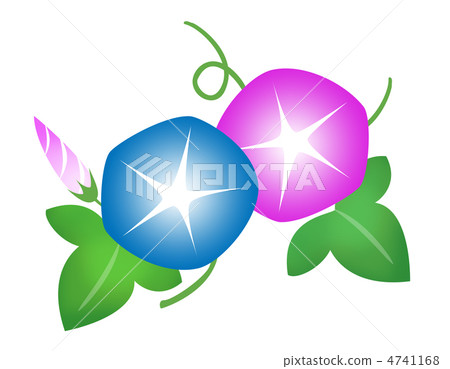 牽牛花(藍色) 牽牛花(藍色) 4741168