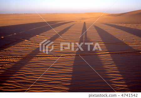 Desert shadows Desert shadows 4741542