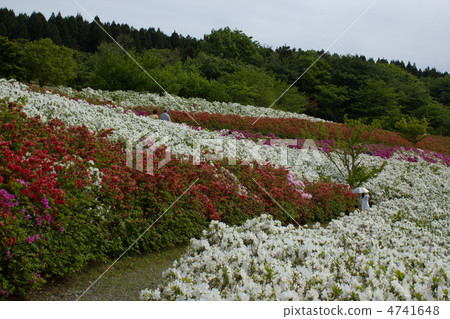 Daijyoji Hill Park Daijyoji Hill Park 4741648