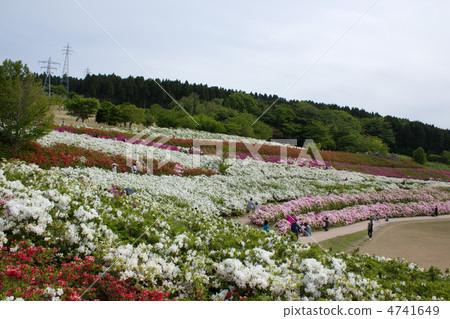 Daijyoji Hill Park Daijyoji Hill Park 4741649