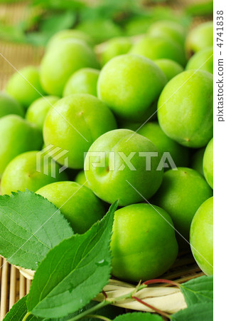 Ome in early summer 4741838