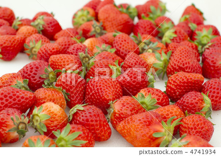 草莓 4741934