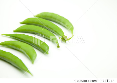 小吃豌豆 4741942