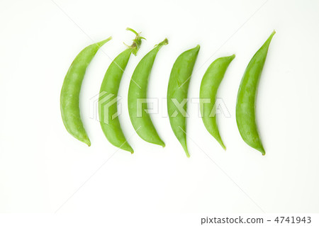 Snack pea 4741943