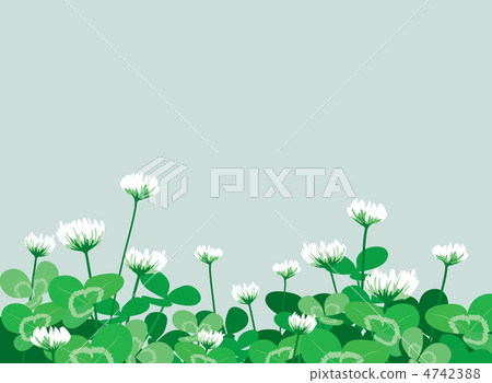 三葉草和白三葉草 三葉草和白三葉草 4742388