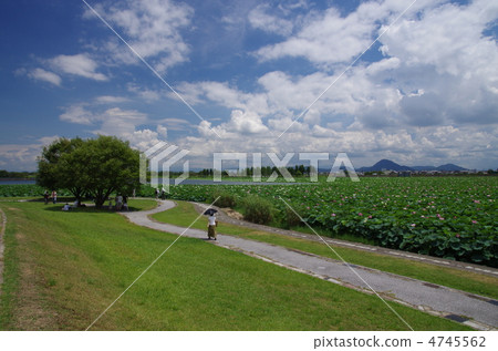 Karasumaru半島 4745562