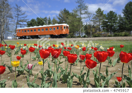 Spring happiness station Spring happiness station 4745917