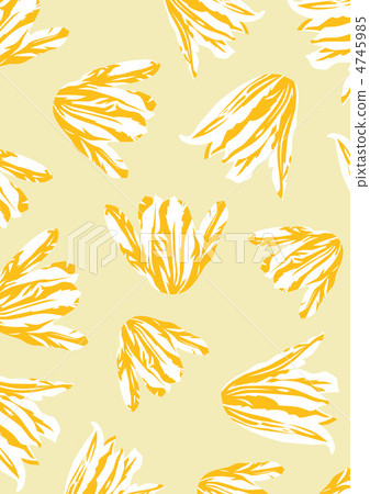Graphic pattern Graphic pattern 4745985