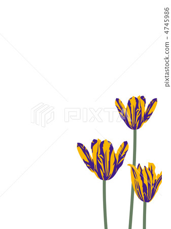Graphic pattern Graphic pattern 4745986