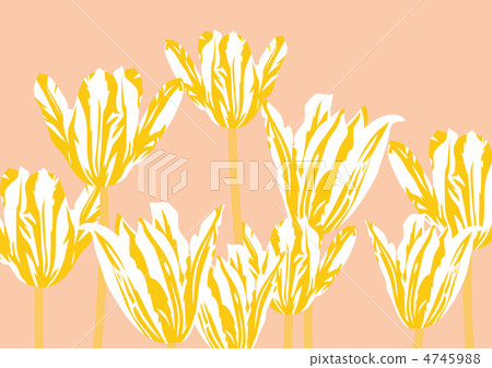 Graphic pattern Graphic pattern 4745988
