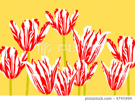 Graphic pattern Graphic pattern 4745994