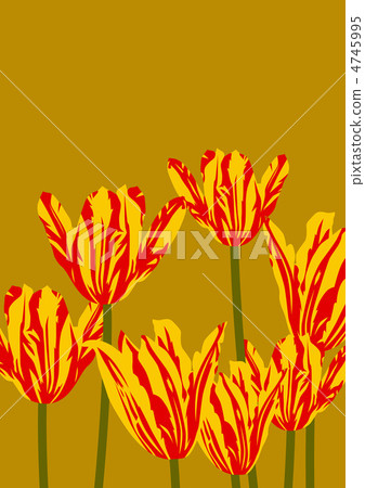 Graphic pattern Graphic pattern 4745995