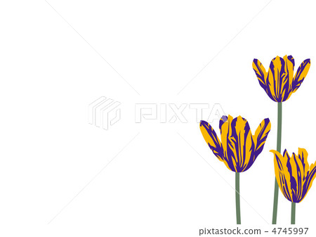 Graphic pattern 4745997