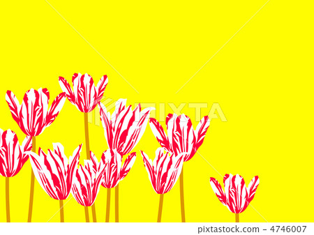 Graphic pattern Graphic pattern 4746007