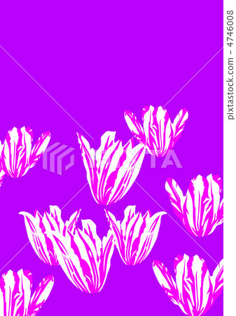 Graphic pattern Graphic pattern 4746008