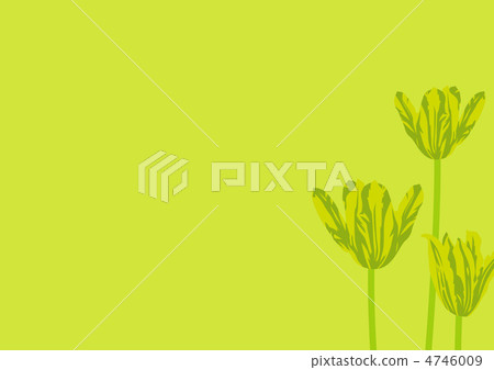 Graphic pattern 4746009