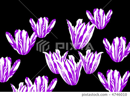 Graphic pattern Graphic pattern 4746010
