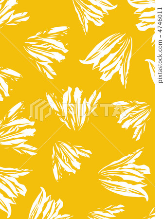 Graphic pattern Graphic pattern 4746011