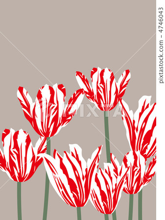Graphic pattern Graphic pattern 4746043