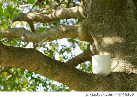 Wood and coffee cup Wood and coffee cup 4746309