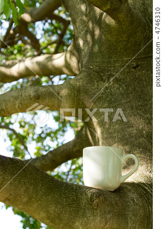 木頭和咖啡杯 木頭和咖啡杯 4746310
