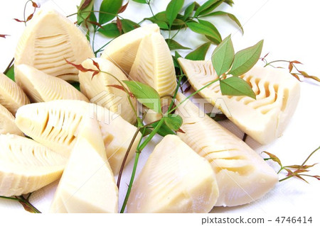 Spring taste · Boiled bamboo shoot · White back sideways position Spring taste · Boiled bamboo shoot · White back sideways position 4746414