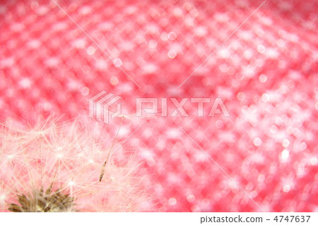 Fluffy sparkling fantasy world 4747637