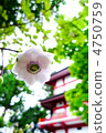 Renge shma就像一個神社少女 4750759